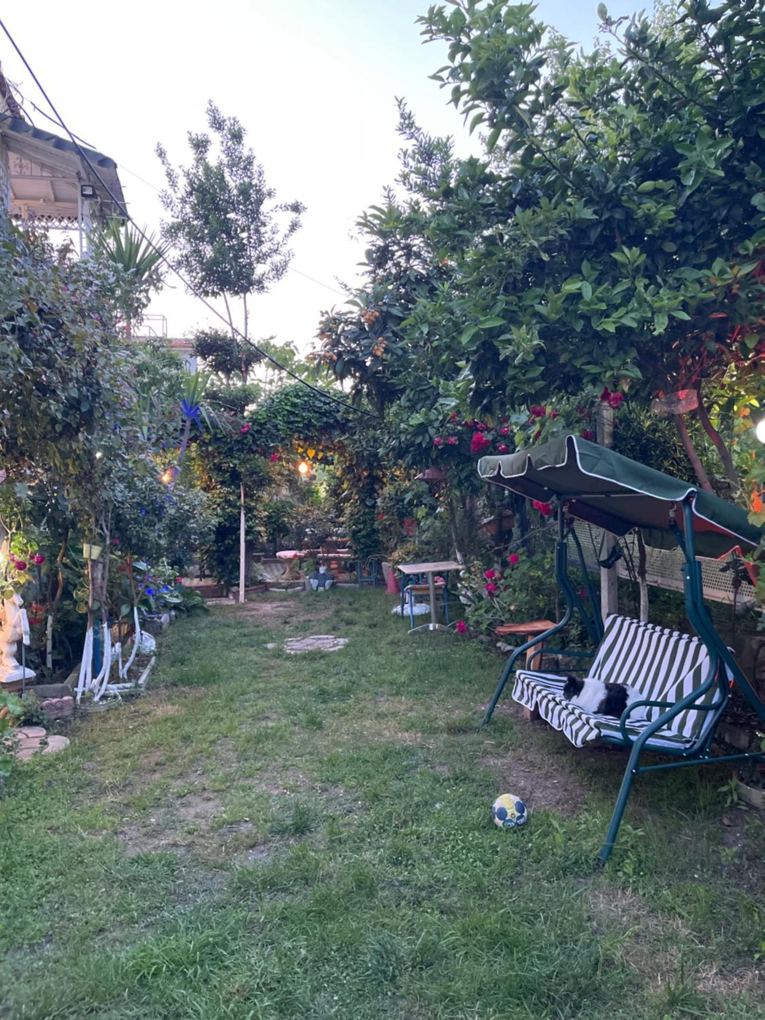 Hill Of San Pietro Villa
